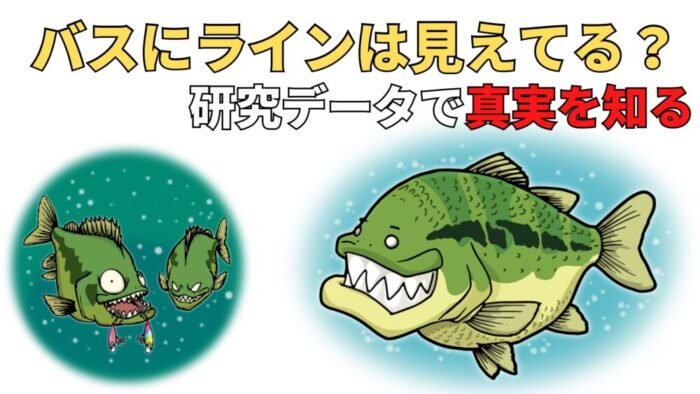 バス釣り ブラックバスにラインは見えている 最強のラインの色と太さと選び方 エナジー福田のバス釣りブログ