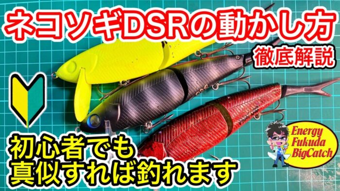 ネコソギDSR2.jpg