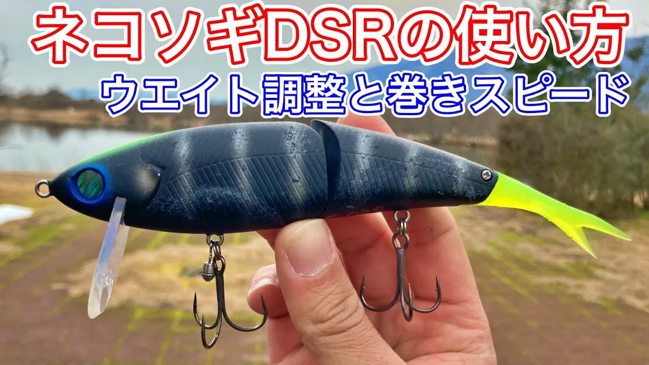 ジョイクロ ダヴィンチ アベンタクローラーGT ネコソギdsr www